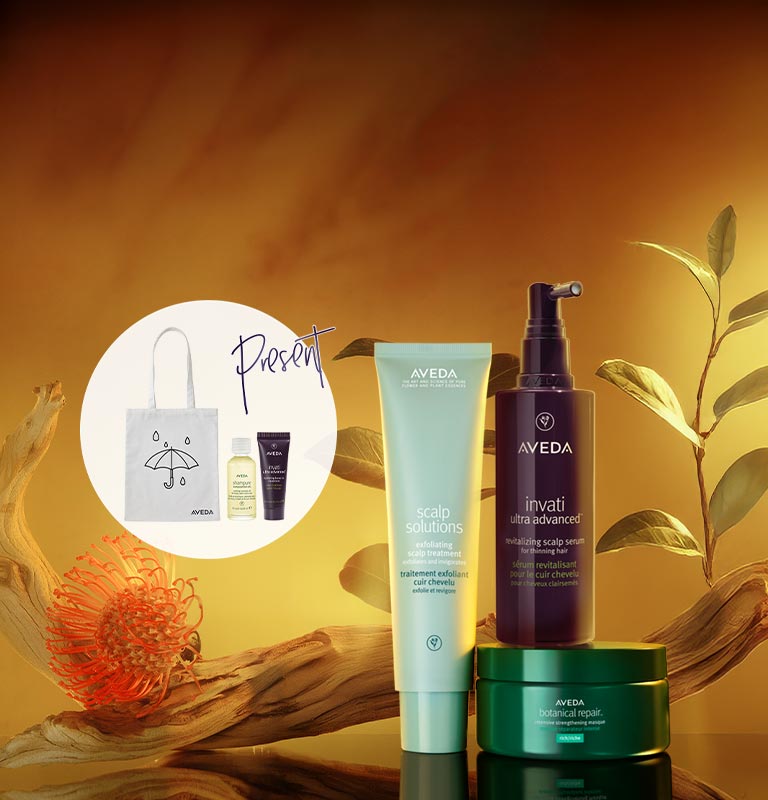 AVEDA（アヴェダ）公式オンラインショップ | 自然界由来成分配合のヘアケア