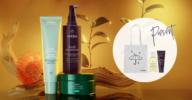 BLACK FRIDAY 対象製品15％OFF