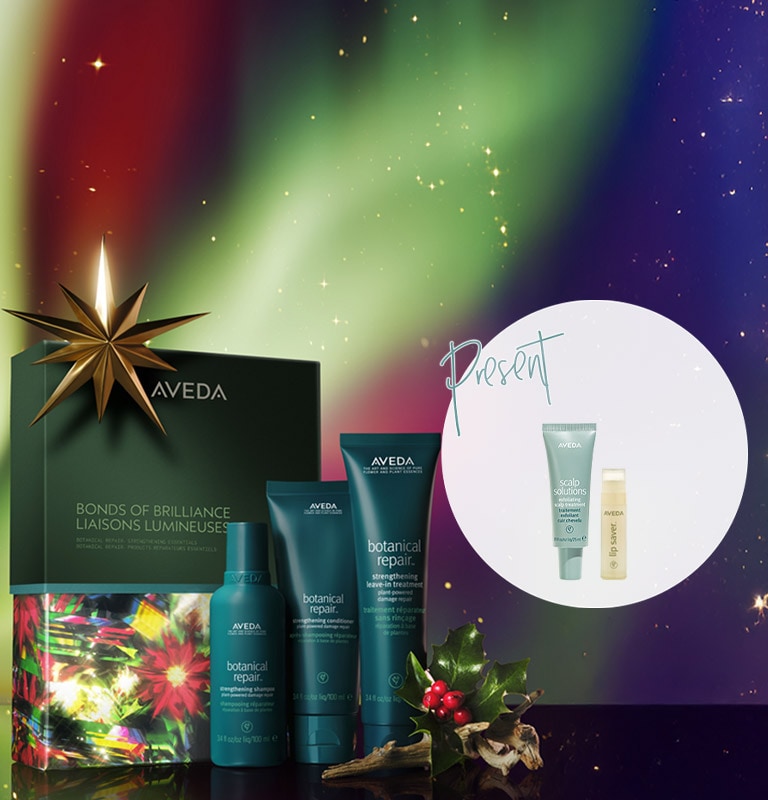 心を動かす贈り物 ホリデーを彩る 限定ギフトセット ホリデーコレクション