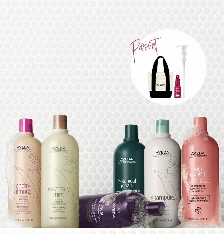 ビッグボトル キャンペーン