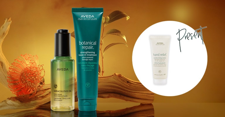 トリートメントウィーク