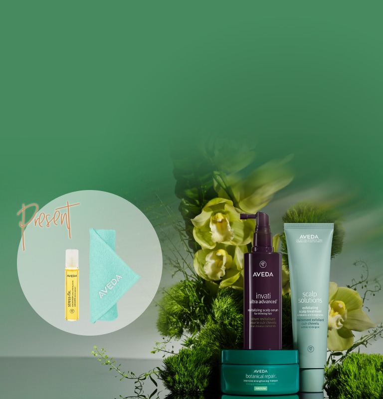 AVEDA（アヴェダ）公式オンラインショップ | 自然界由来成分配合のヘアケア