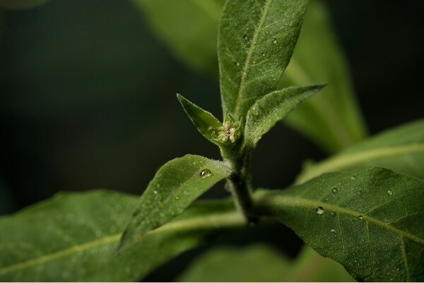 Your personalized hair care routine