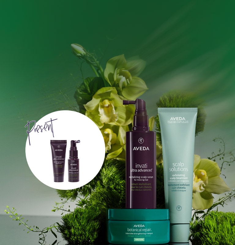 新生活応援キャンペーン