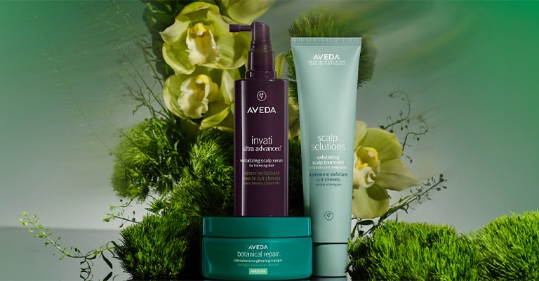 新生活キャンペーン