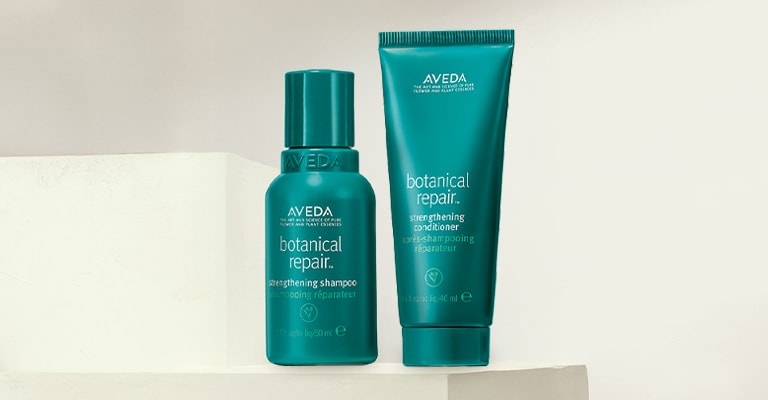 BotanicalRepair_campaign