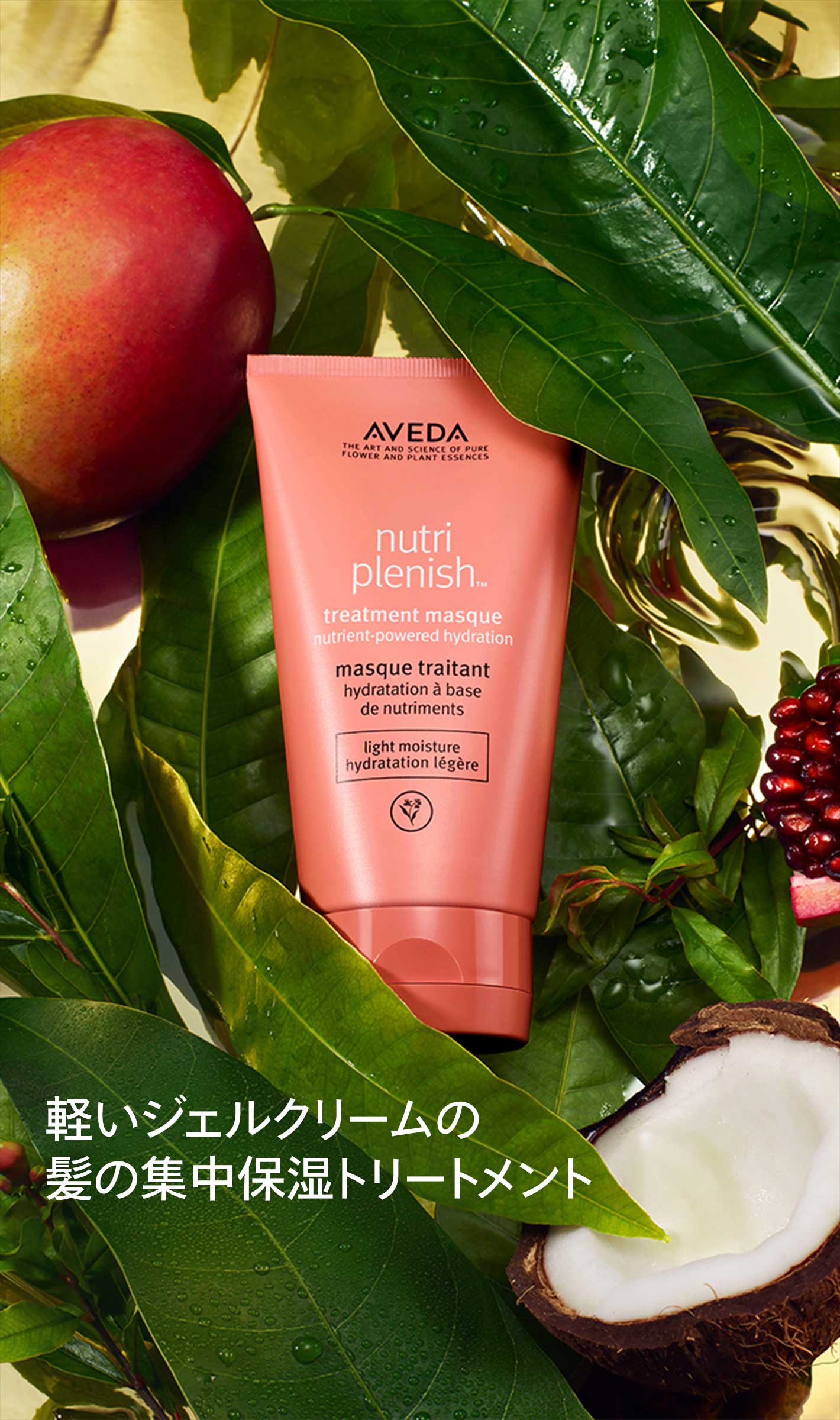 Nutriplenish Treatment Masque Light Moisture