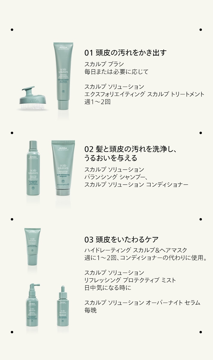 Aveda スカルプソリューション　シャンプー1000ml 1本新品 Aveda スカルプソリューション シャンプー1000ml 1本新品 スカルプ