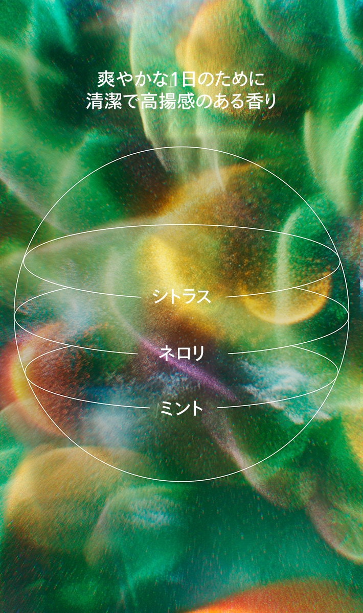 scalp solutions replenishing conditioner