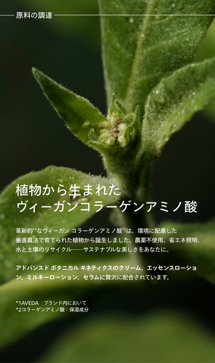 Advanced Botanical Kinetics™ Vitality Serum