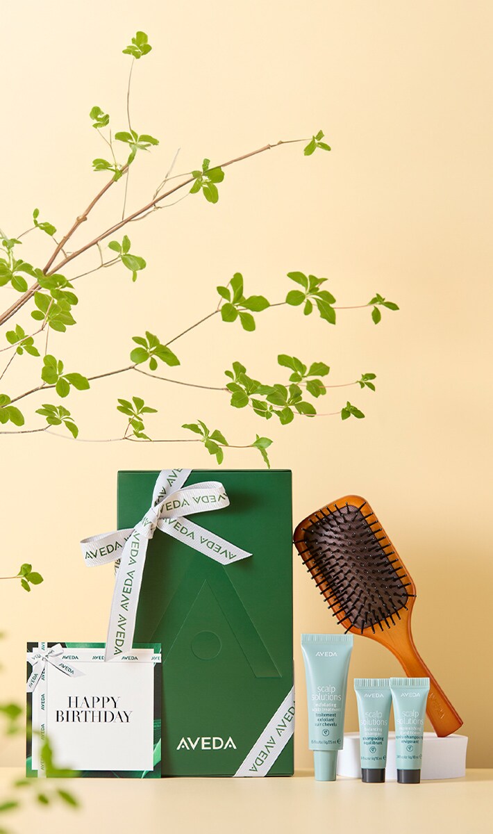 Mini Paddle Brush & Scalp Care Set