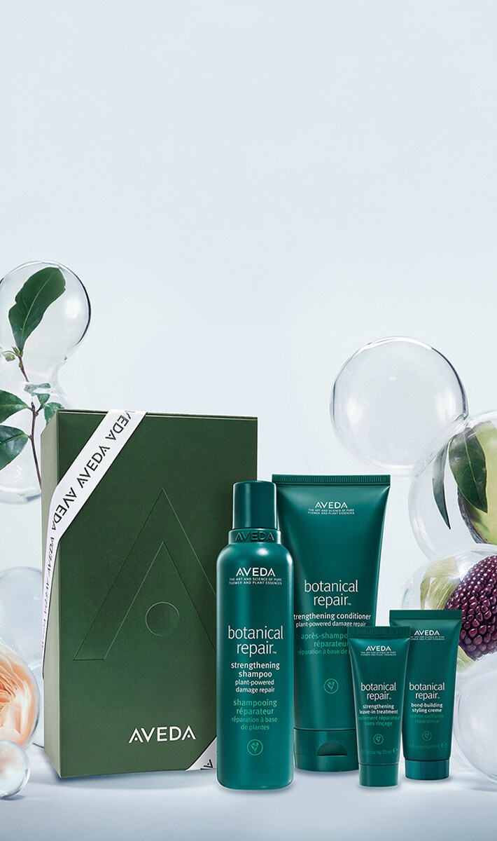 Botanical Repair 4 Step Haircare Set