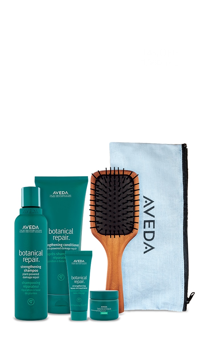 ブラシ付 ダメージ ケア スペシャルセット | Aveda
