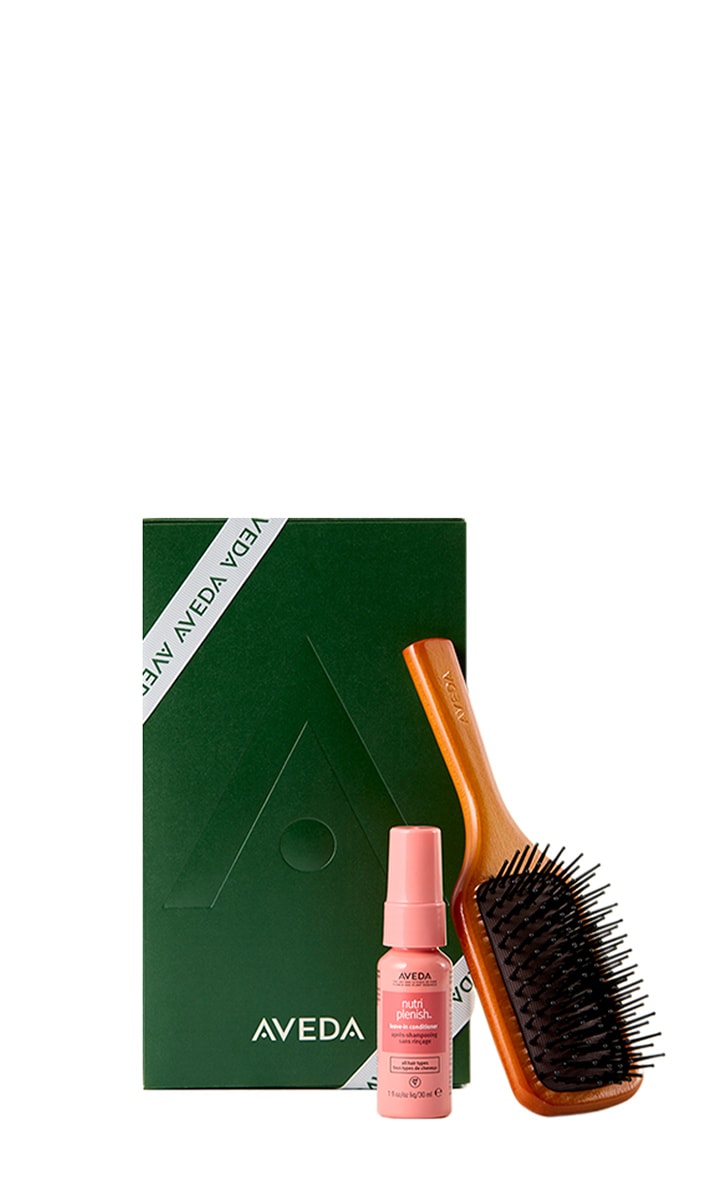 Mini Paddle Brush & Moisture Care Gift