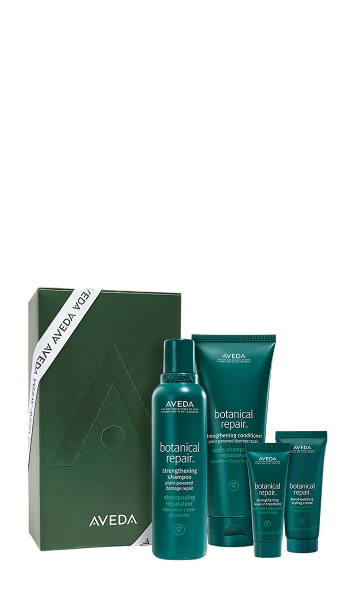 Botanical Repair 4 Step Haircare Set